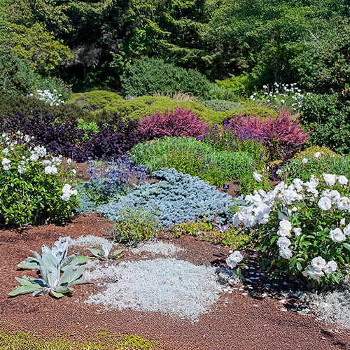  A vibrant flower garden at Dedekam Ornamental Terrace, showcasing a diverse array of colorful plants in full bloom.